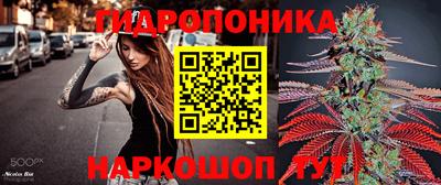 гидра Кандалакша