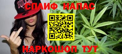 гидра Кандалакша