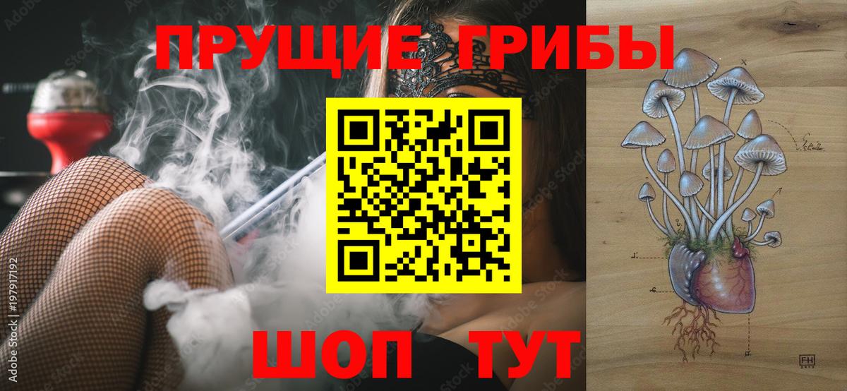Псилоцибиновые грибы прущие грибы  Псилоцибиновые грибы Psilocybine cubensis  Кстово  Вход с VPN 